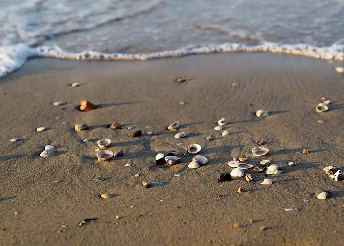 Spacious With Sea View - Beahost 公寓 *