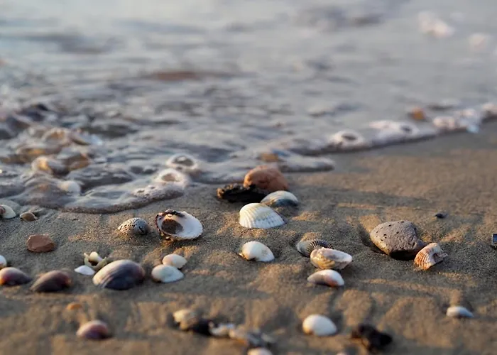 Apartamento Spacious With Sea View - Beahost